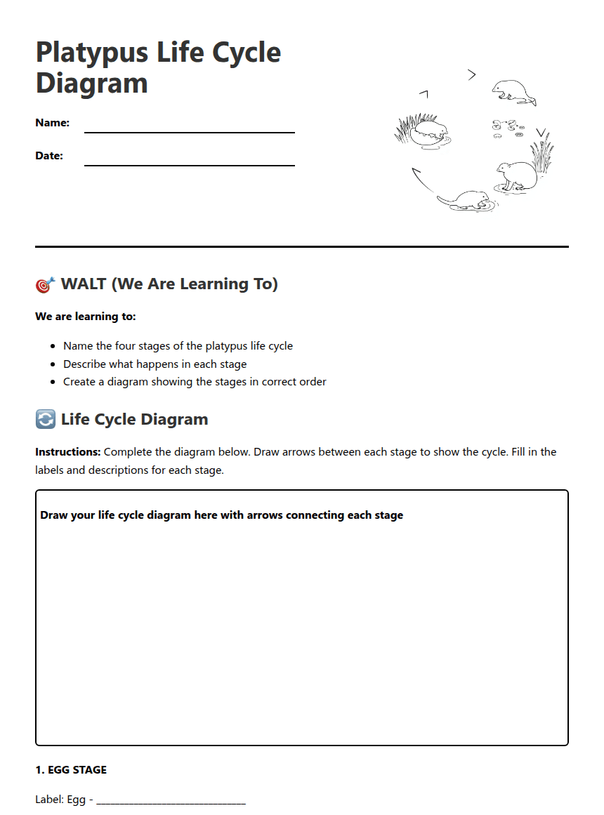 Platypus Life Cycle Diagram worksheet preview