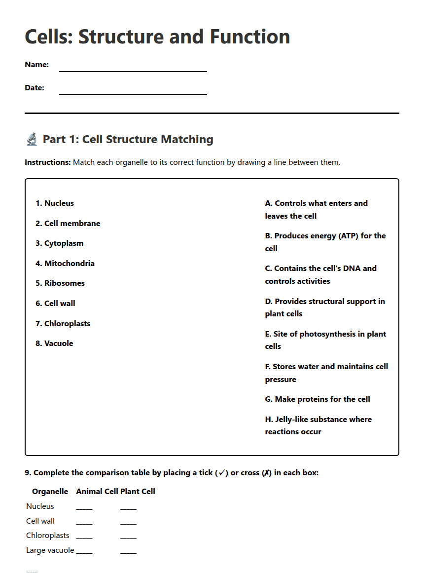 Cells: Structure and Function worksheet preview
