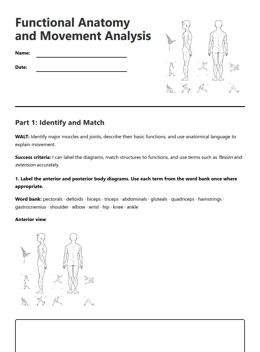 Functional Anatomy and Movement Analysis worksheet preview