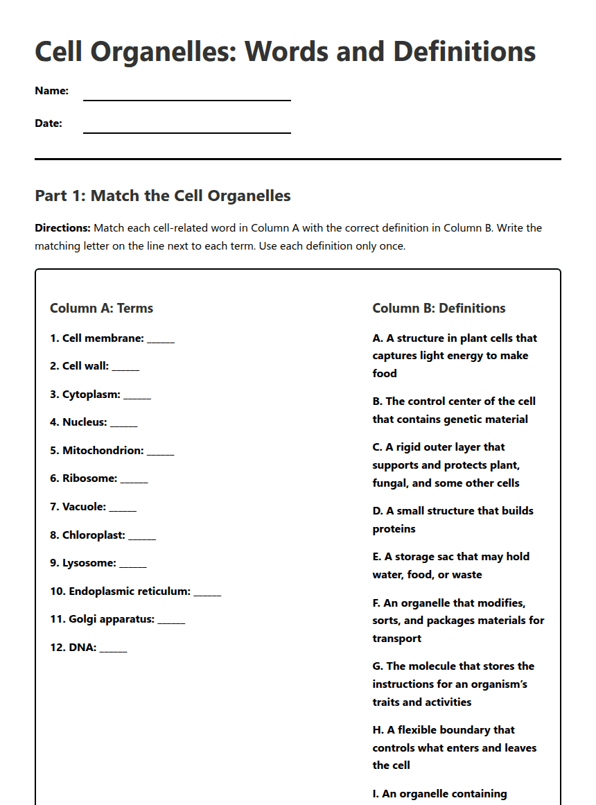 Cell Organelles Matching Worksheet worksheet preview