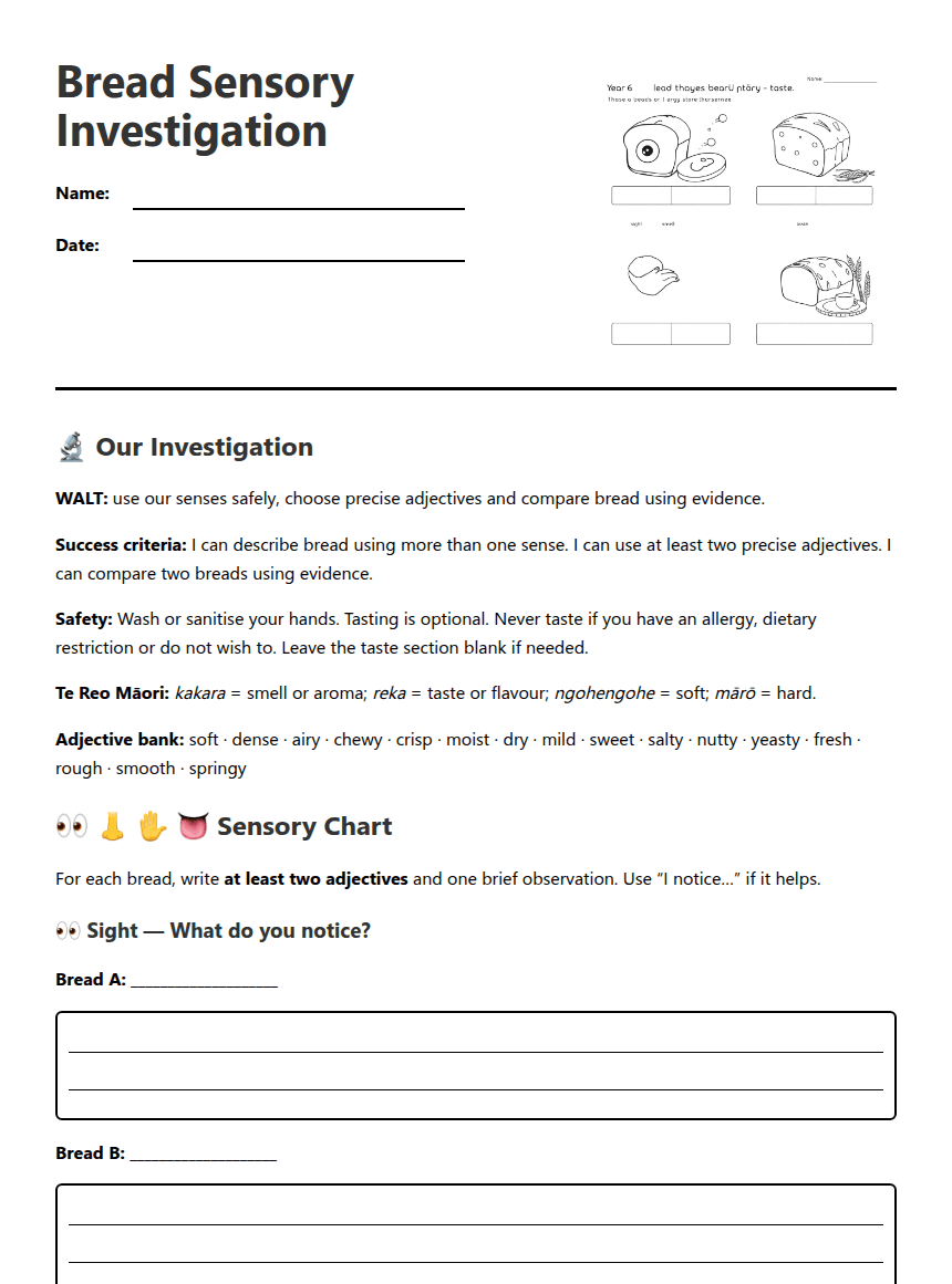 Bread Sensory Investigation worksheet preview