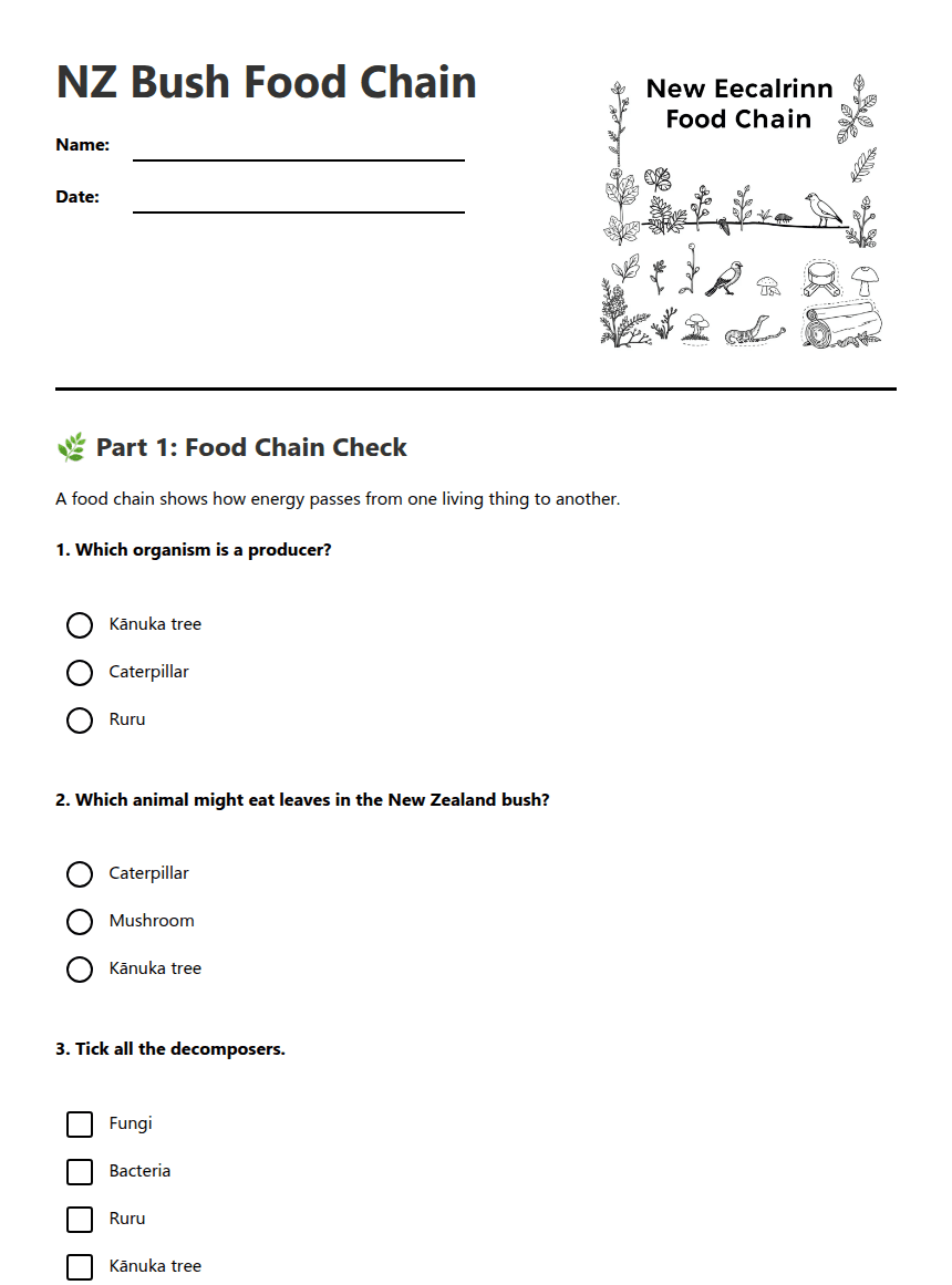 NZ Bush Food Chain worksheet preview