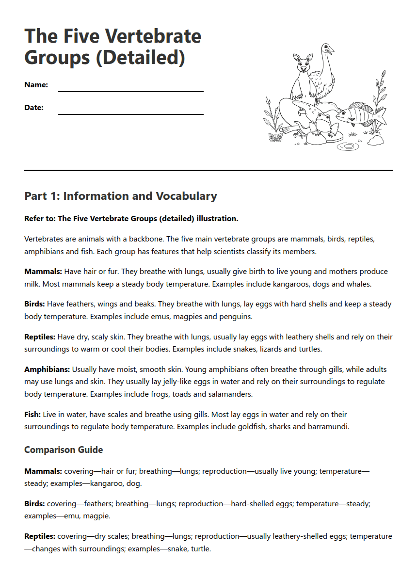 The Five Vertebrate Groups Worksheet worksheet preview