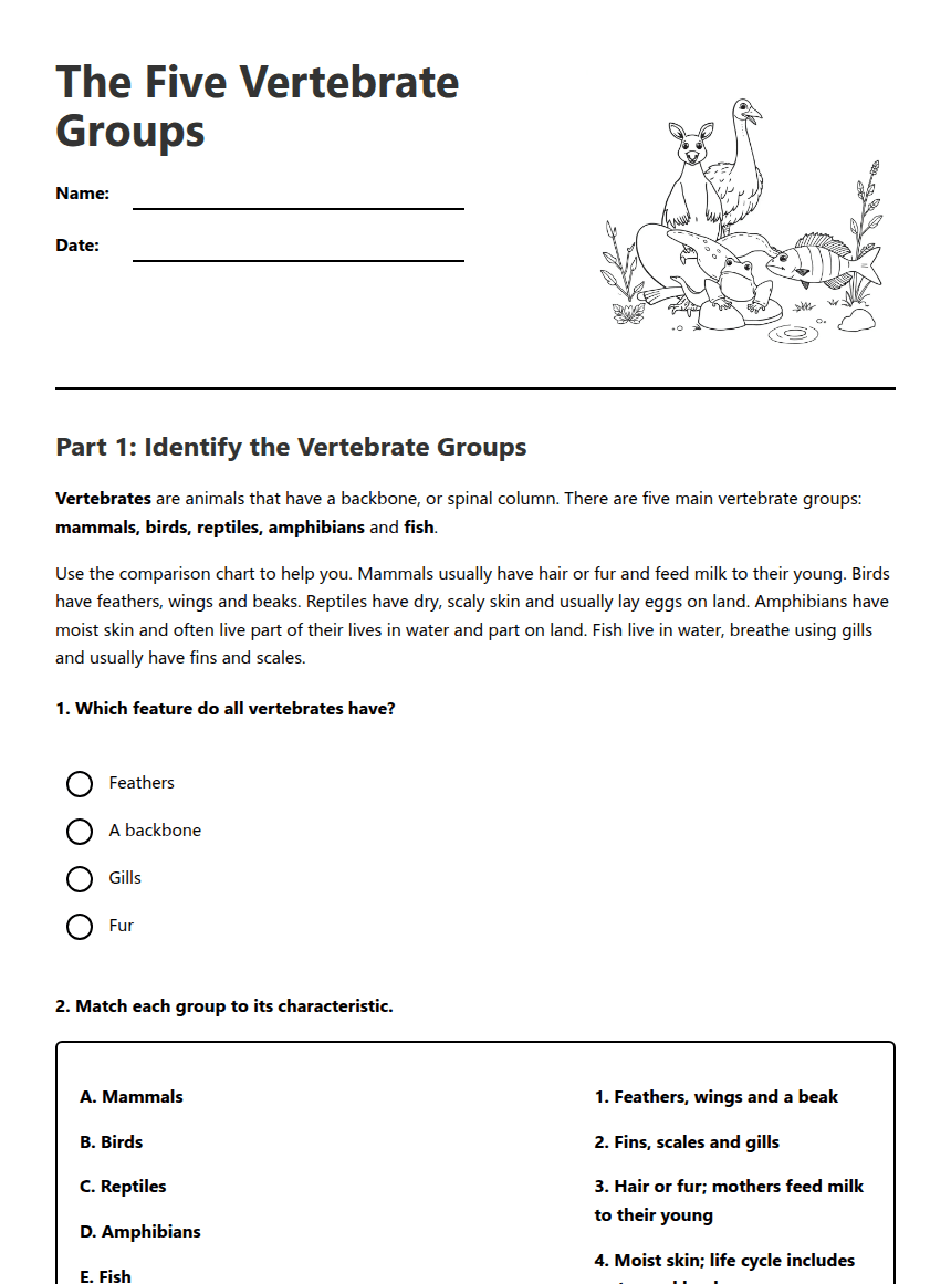 The Five Vertebrate Groups worksheet preview