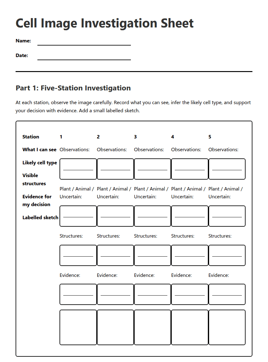 Cell Image Investigation Sheet worksheet preview