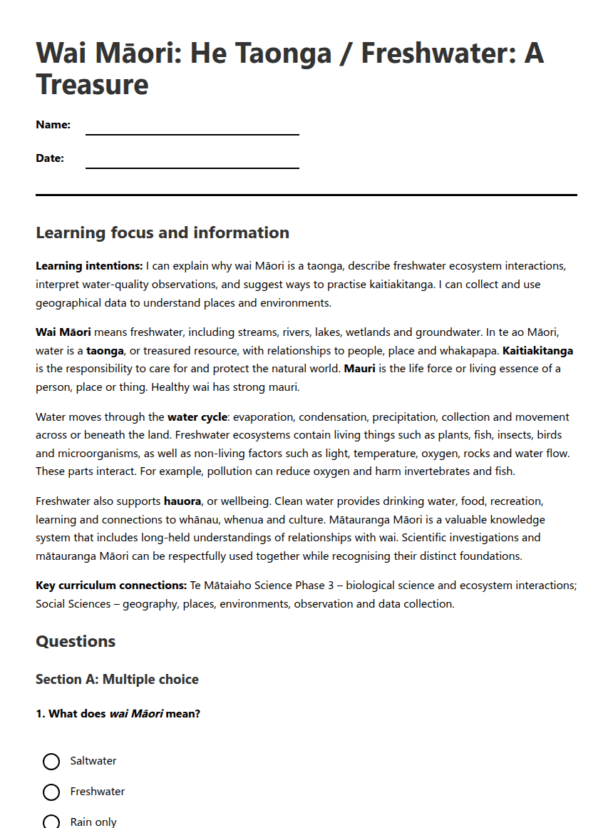 Wai Māori: A Taonga worksheet preview