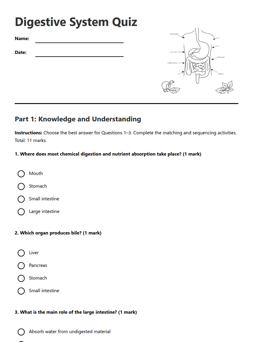 Digestive System Quiz