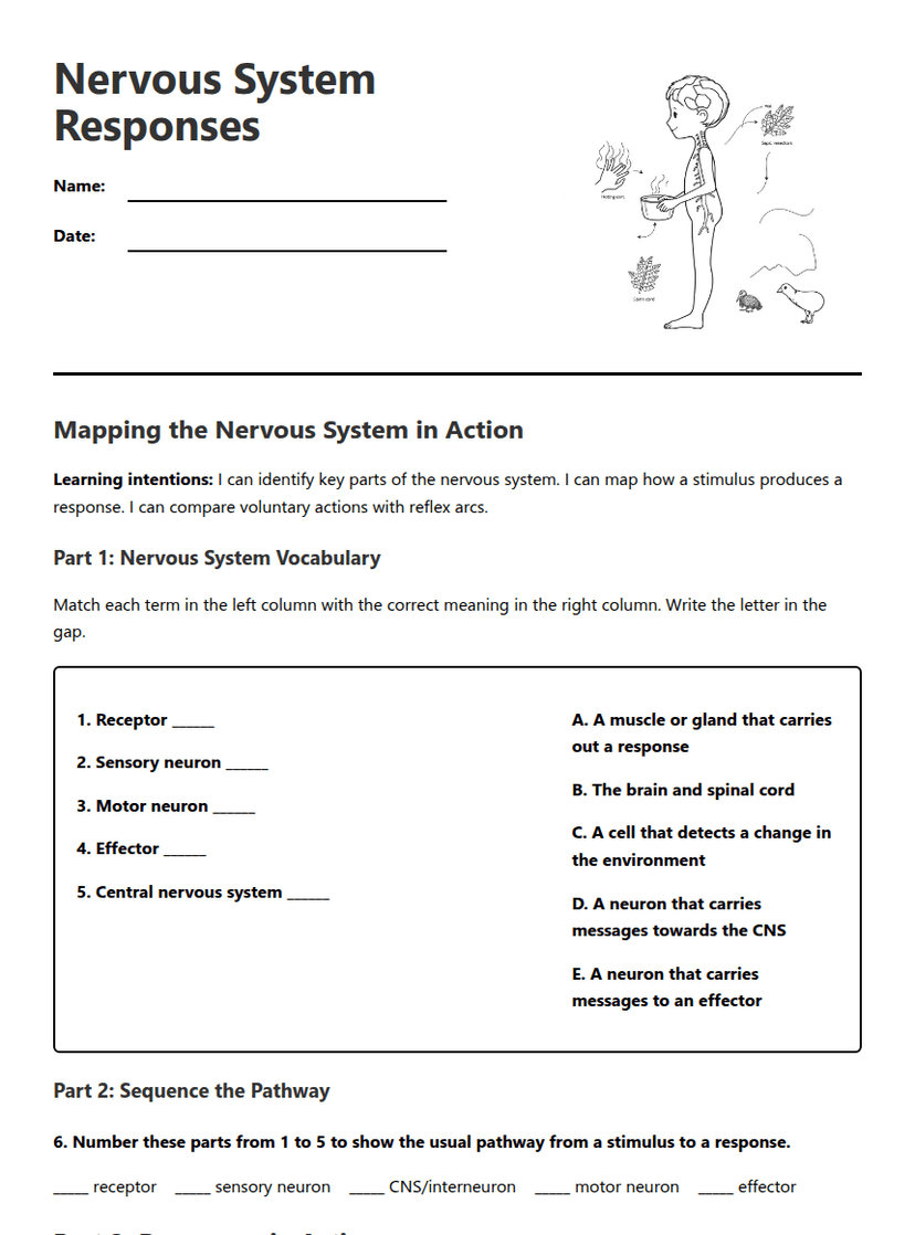 Nervous System Responses