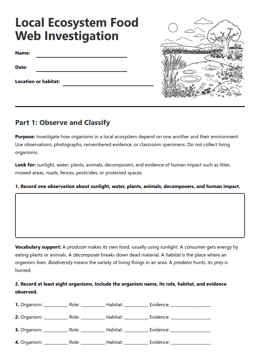 Local Ecosystem Food Web Investigation worksheet preview