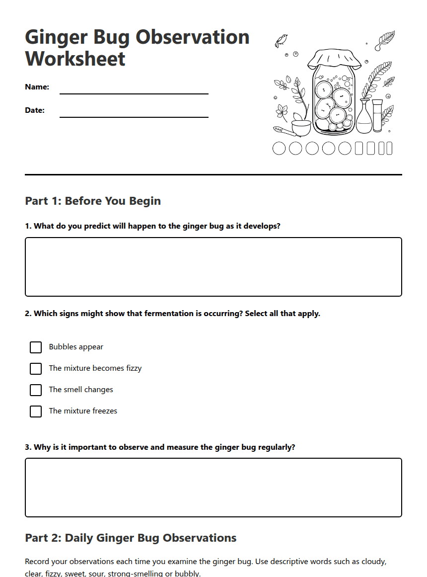 Ginger Bug Observation Worksheet worksheet preview