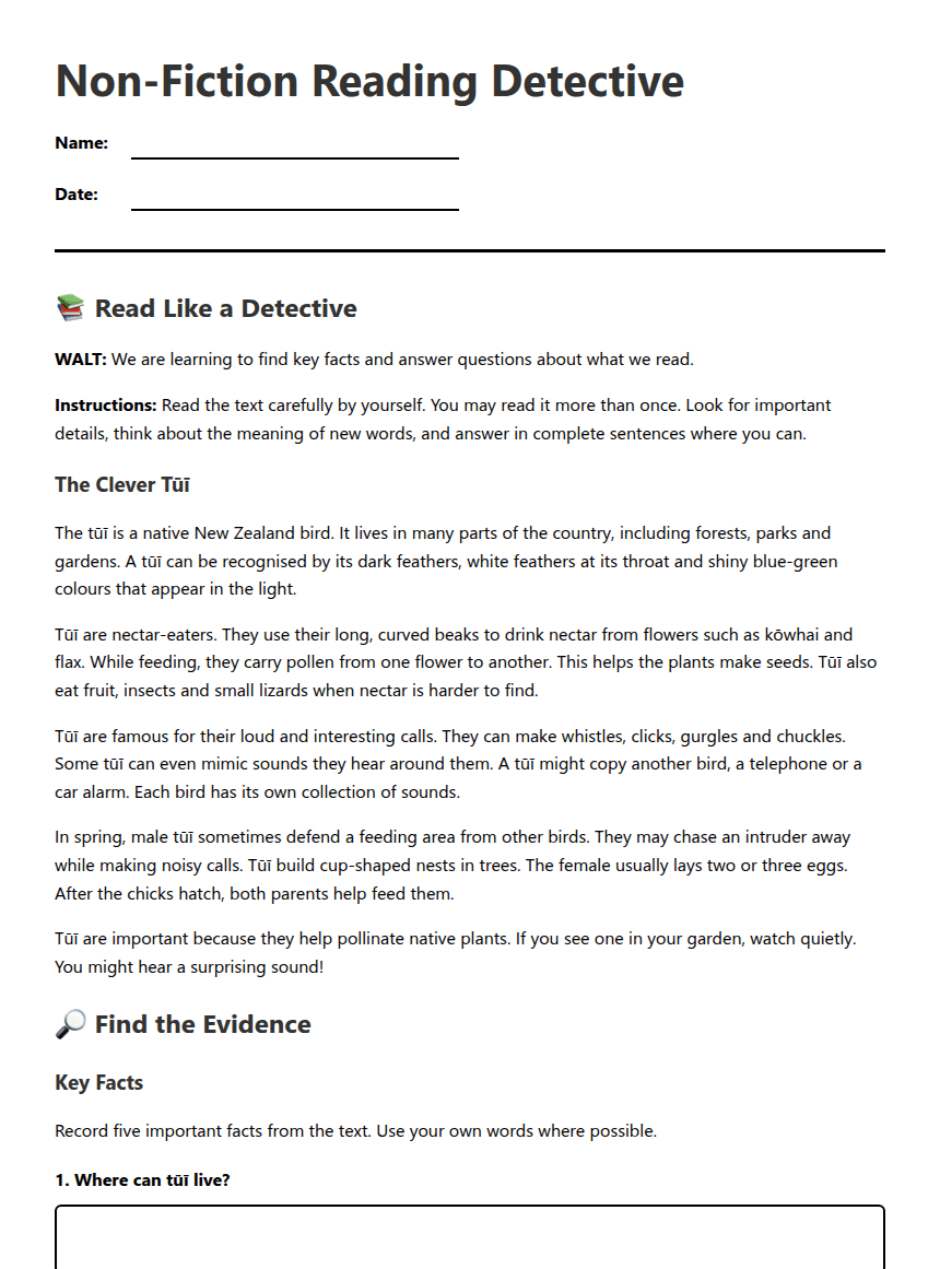 Non-Fiction Reading Detective worksheet preview