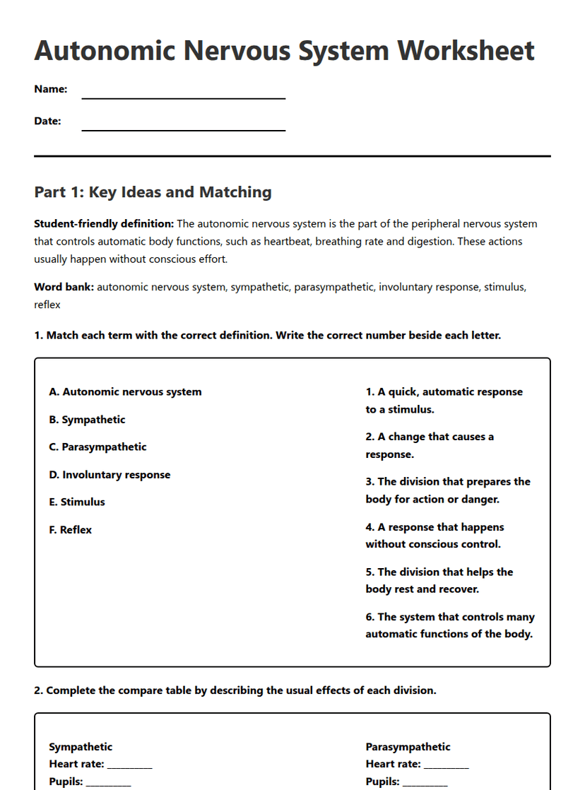Autonomic Nervous System Worksheet