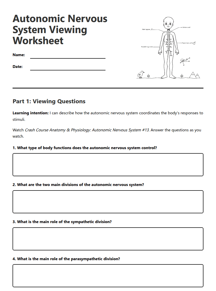 Autonomic Nervous System Viewing Worksheet worksheet preview
