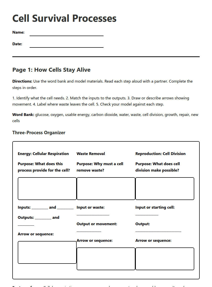 Cell Survival Processes worksheet preview