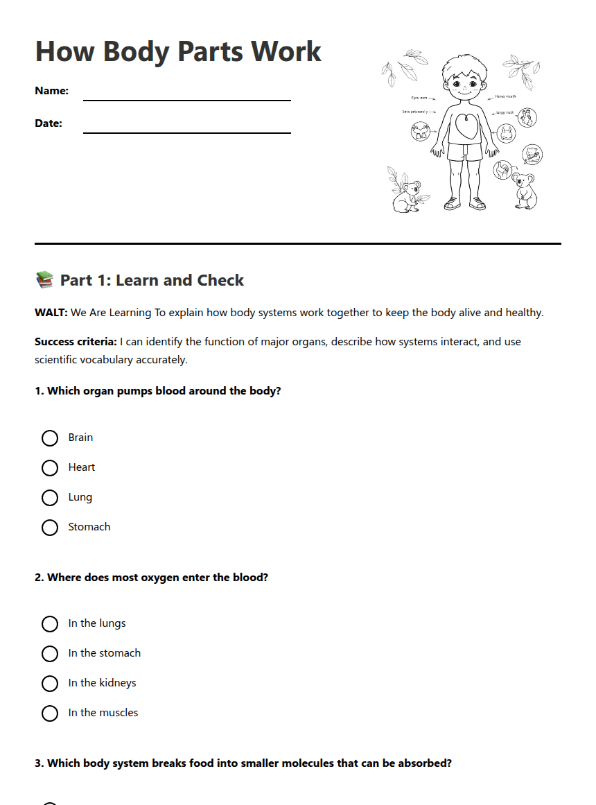 How Body Parts Work worksheet preview