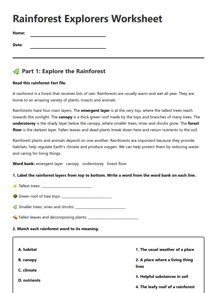 Rainforest Explorers Worksheet worksheet preview
