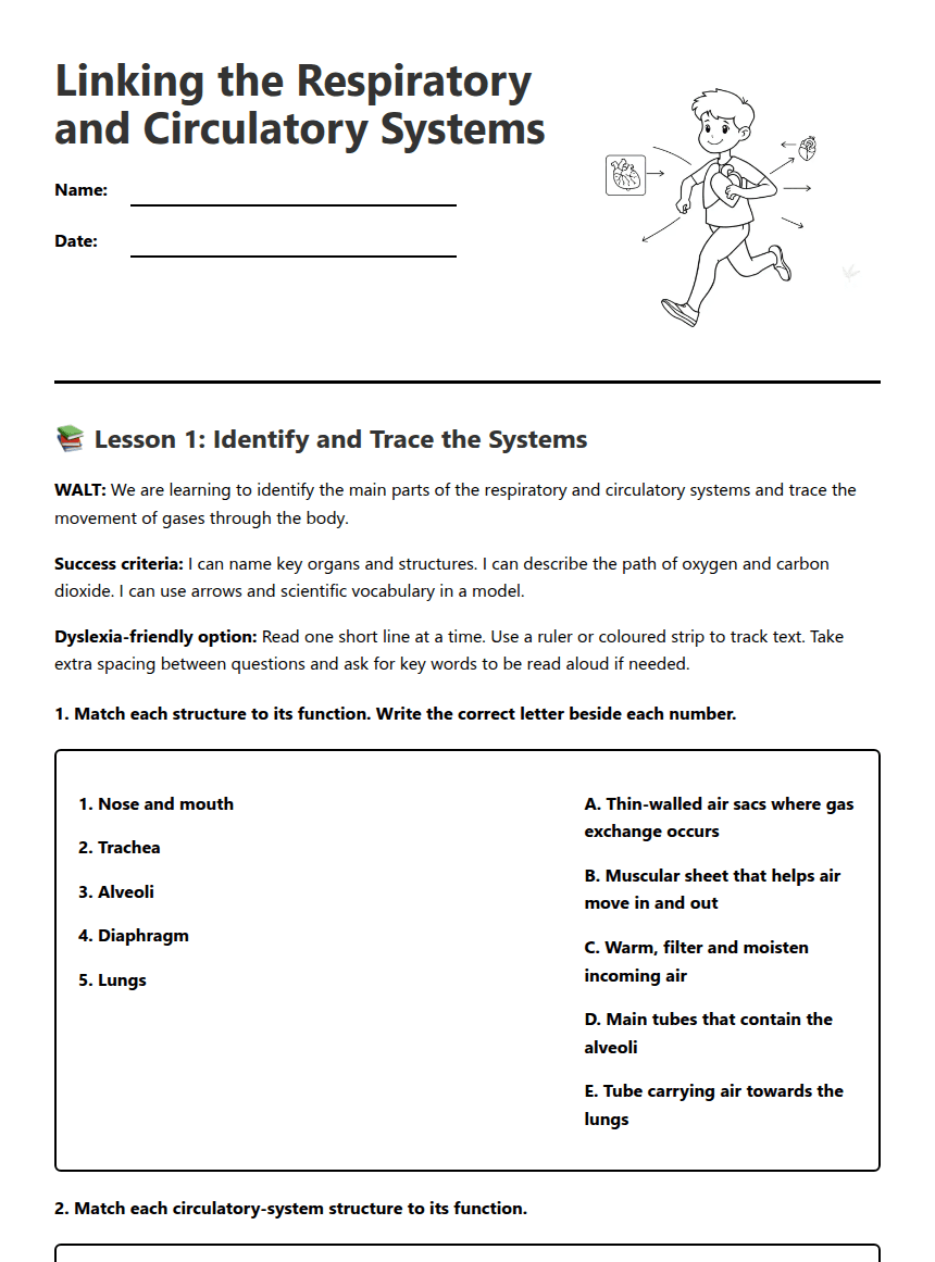 Respiratory and Circulatory Systems worksheet preview