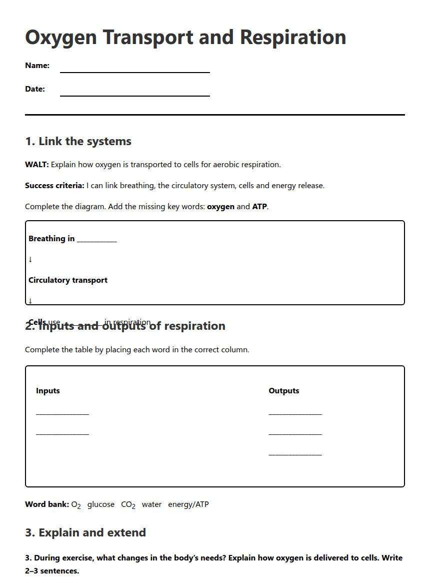 Oxygen Transport and Respiration worksheet preview