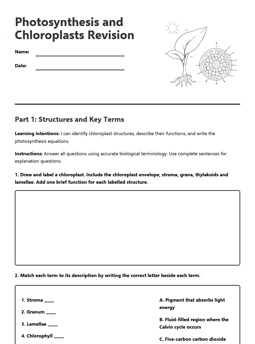 Photosynthesis and Chloroplasts Revision worksheet preview