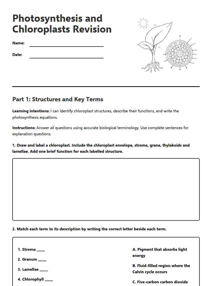 Photosynthesis and Chloroplasts Revision