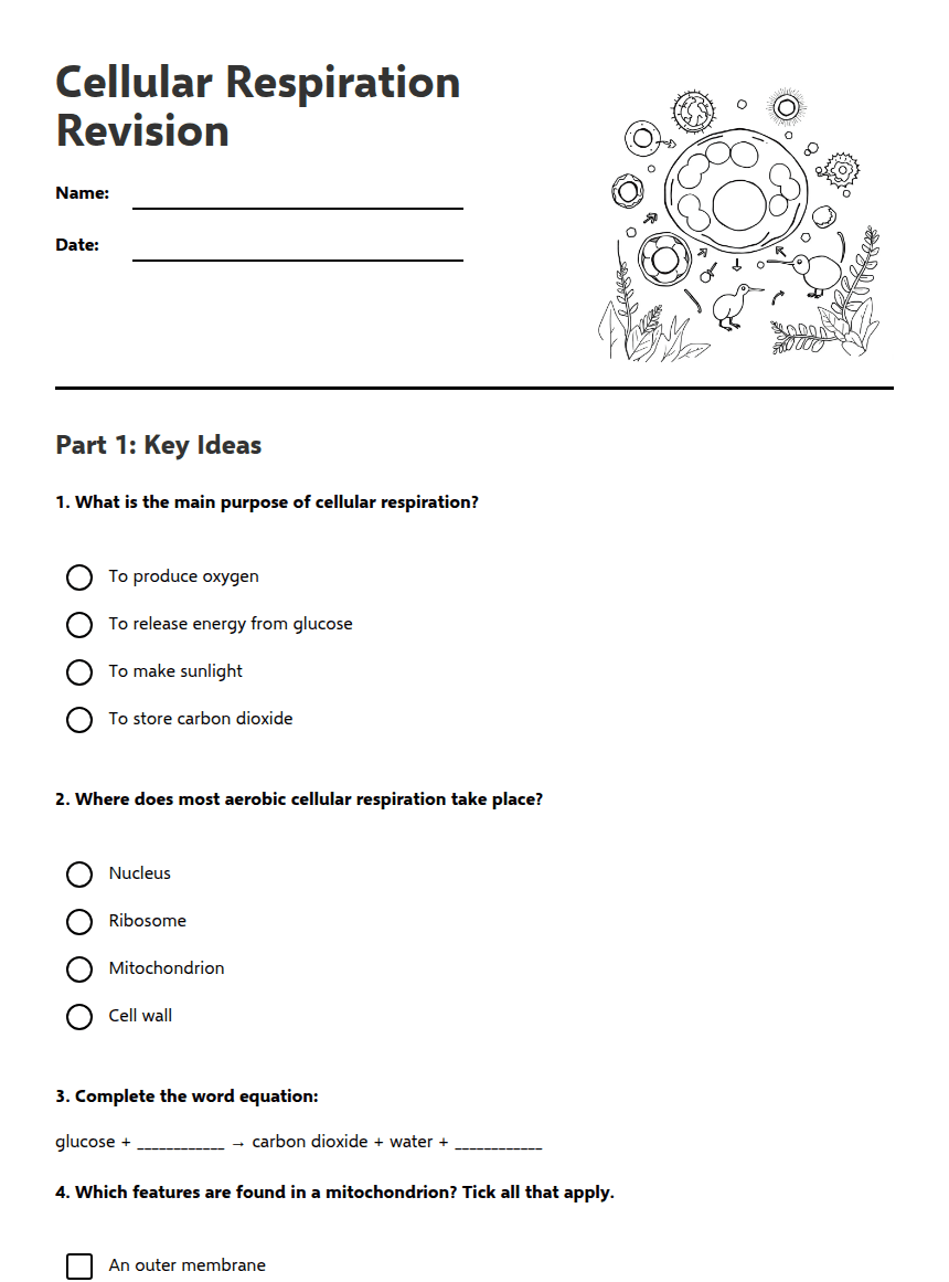 Cellular Respiration Revision worksheet preview