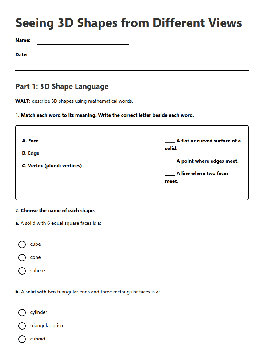 Seeing 3D Shapes from Different Views worksheet preview