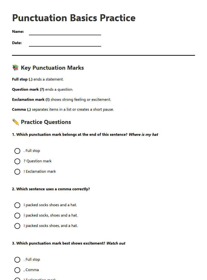 Punctuation Basics Practice worksheet preview