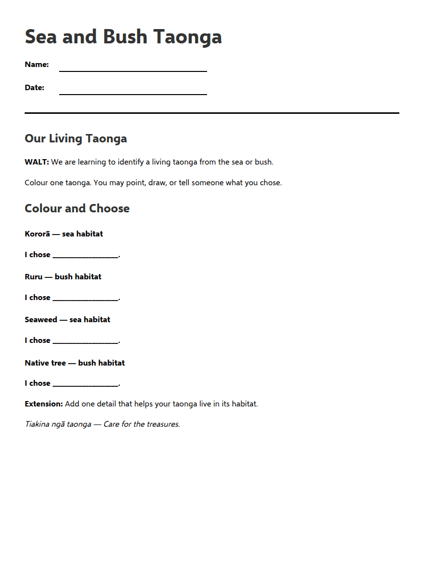 Sea and Bush Taonga worksheet preview
