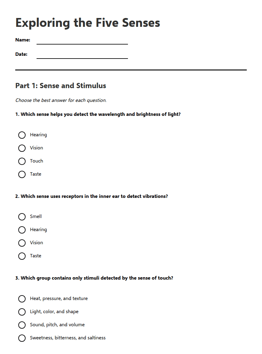 Exploring the Five Senses worksheet preview