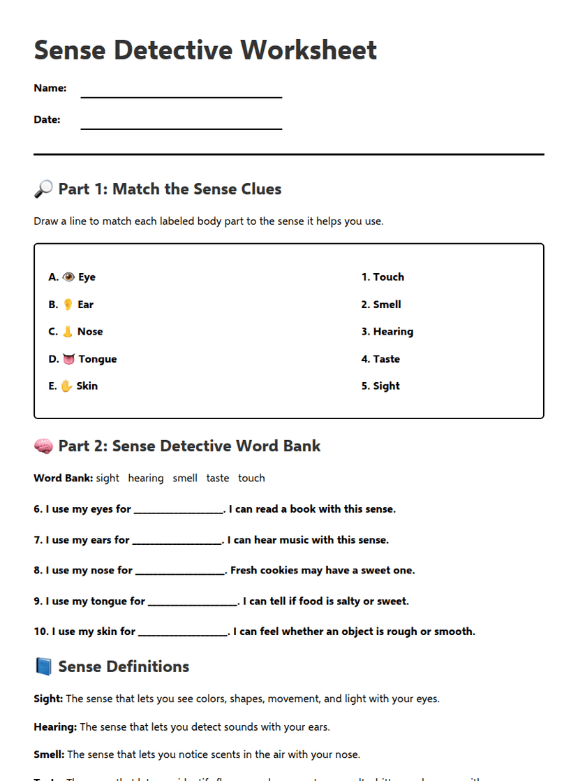 Sense Detective Worksheet