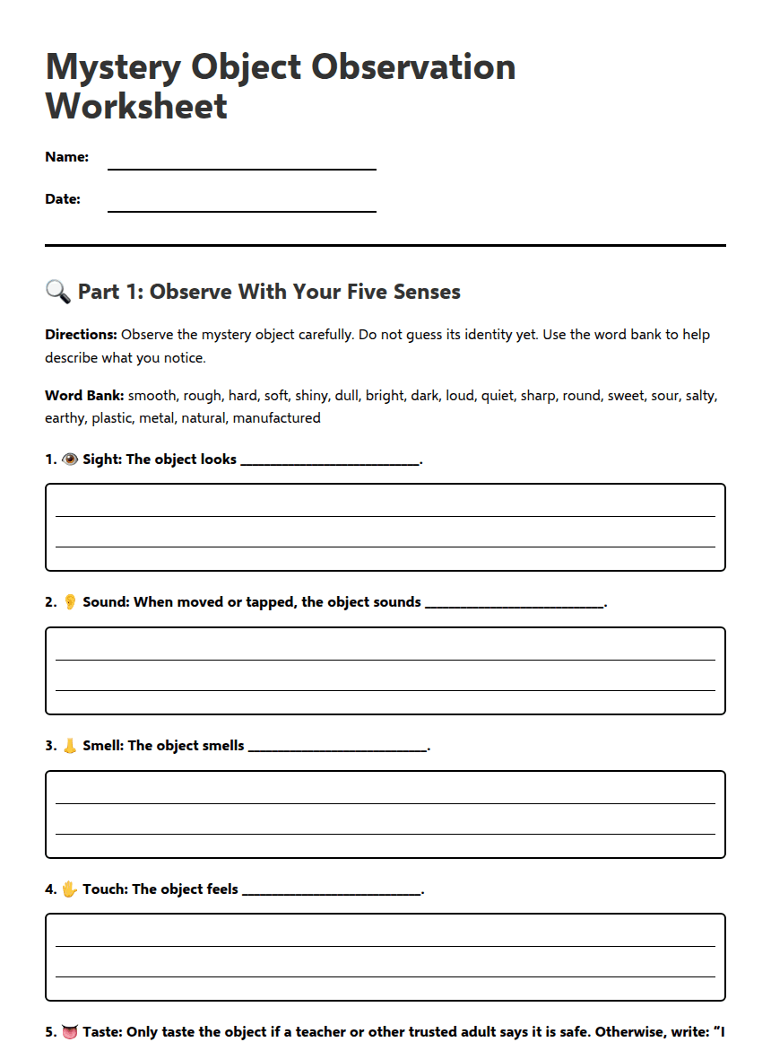 Mystery Object Observation Worksheet worksheet preview