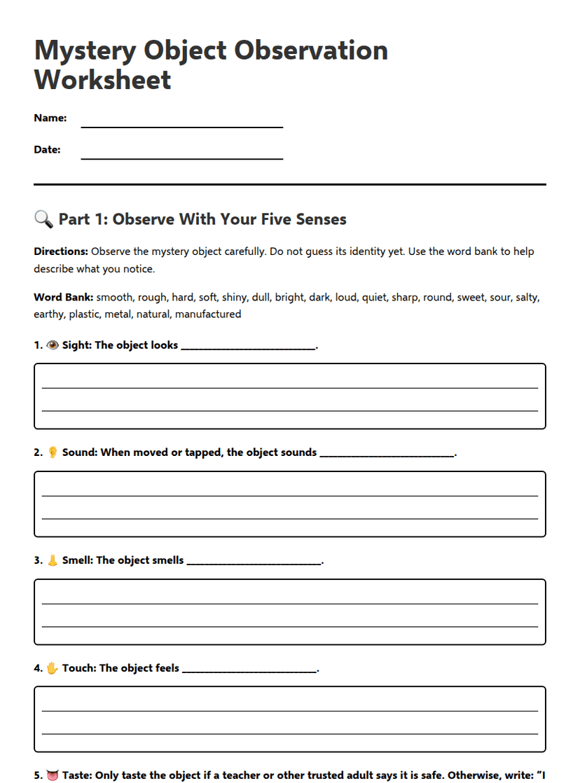 Mystery Object Observation Worksheet