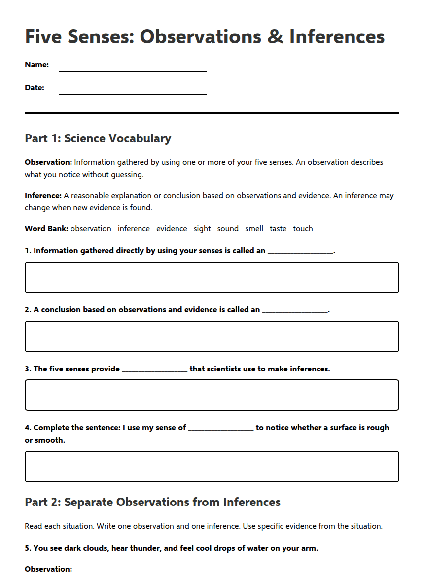 Five Senses: Observations & Inferences worksheet preview