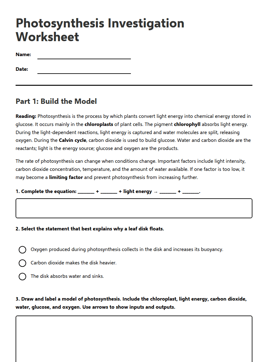 Photosynthesis Investigation Worksheet worksheet preview
