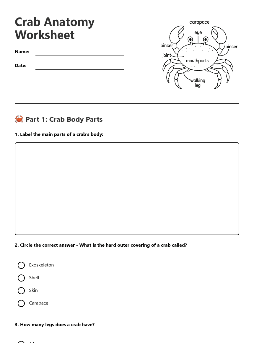 Crab Anatomy Worksheet worksheet preview