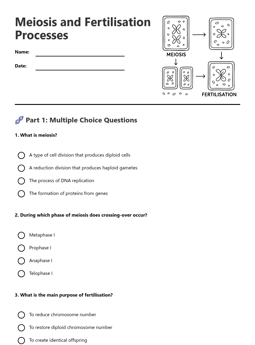 Meiosis and Fertilisation Processes worksheet preview