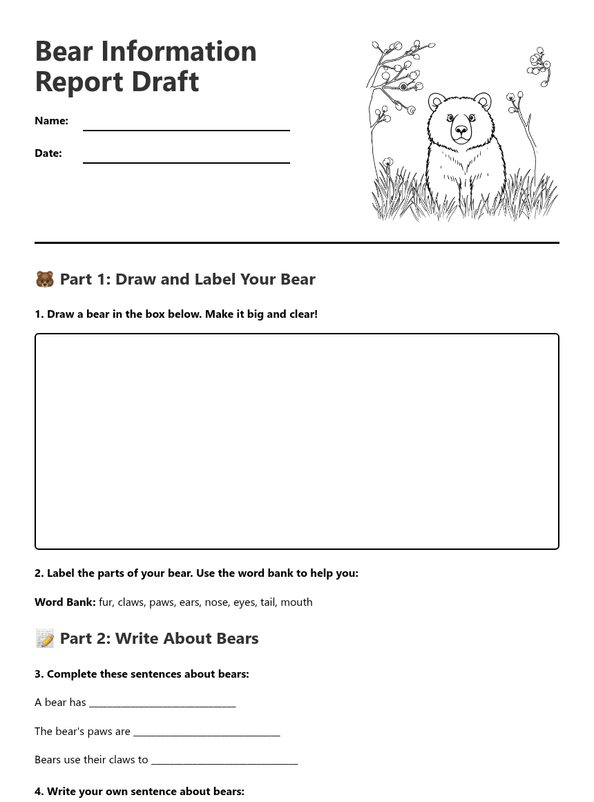 Bear Information Report Draft worksheet preview