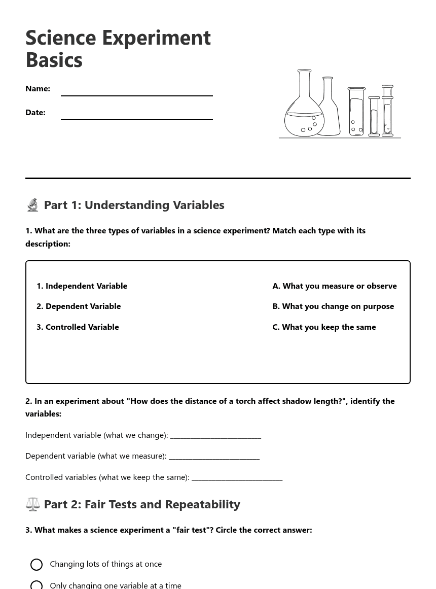 Science Experiment Basics worksheet preview
