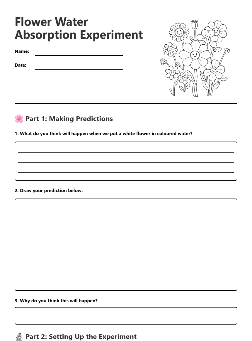 Flower Water Absorption Experiment worksheet preview