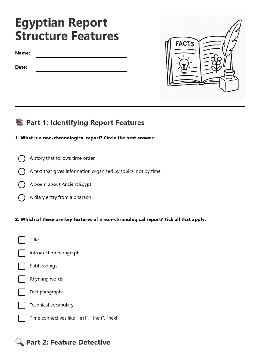 Egyptian Report Structure Features