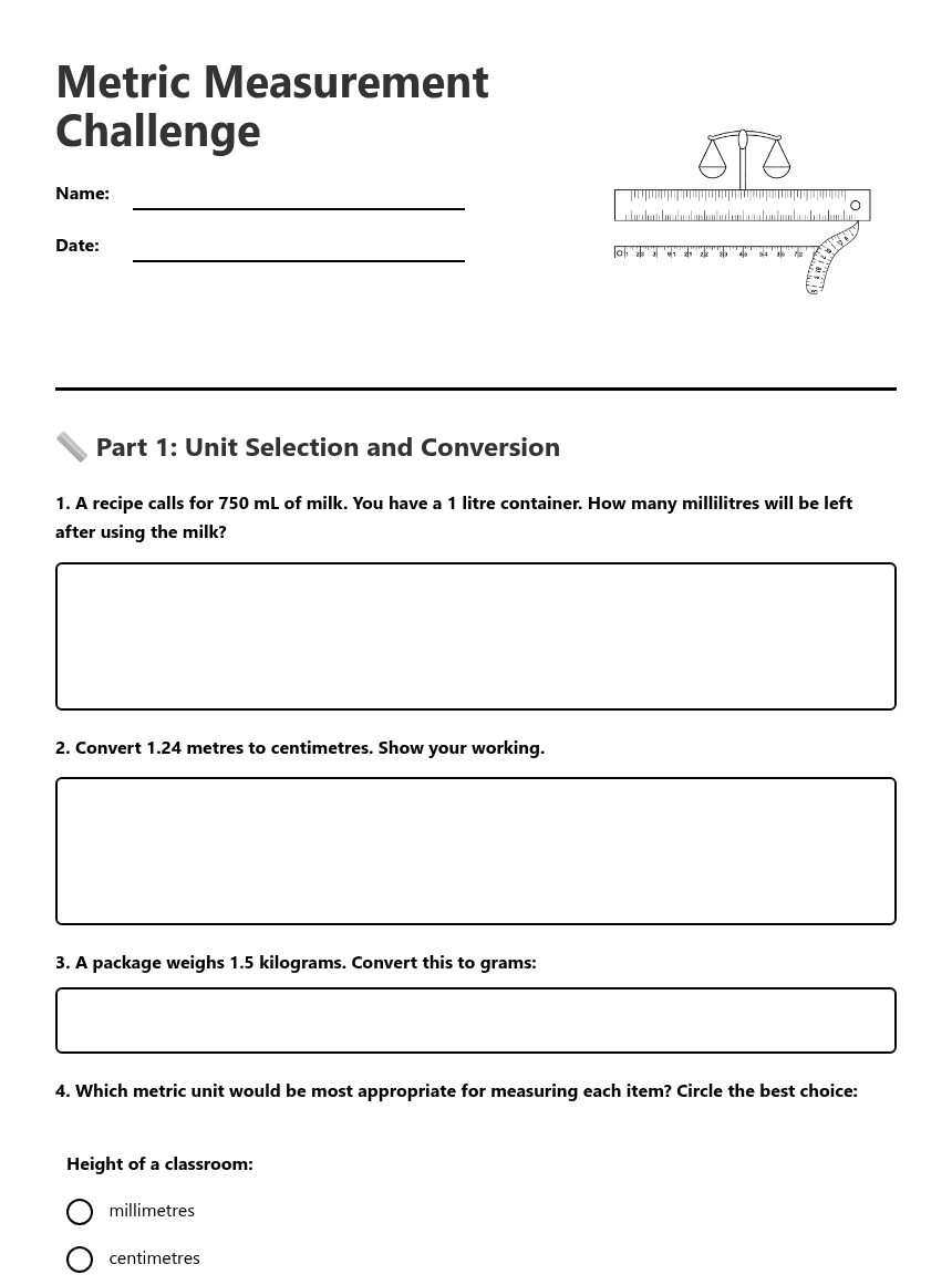 Metric Measurement Challenge worksheet preview