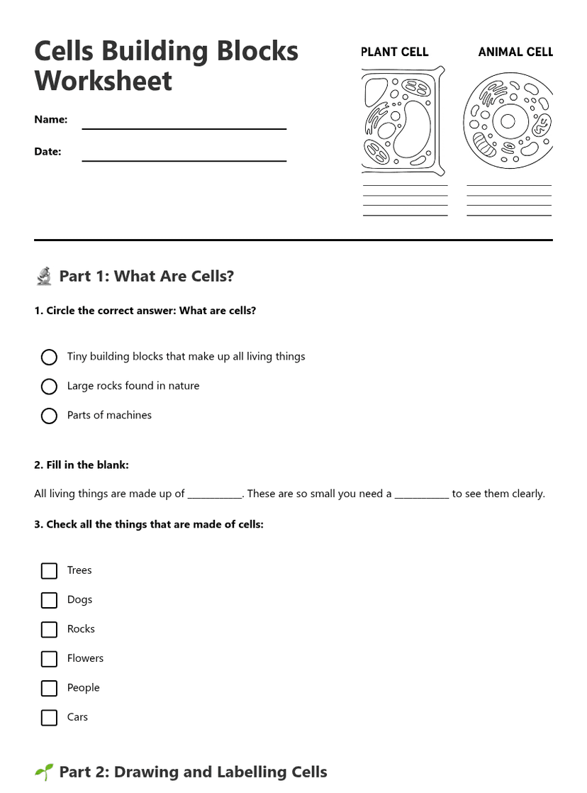 Cells Building Blocks Worksheet