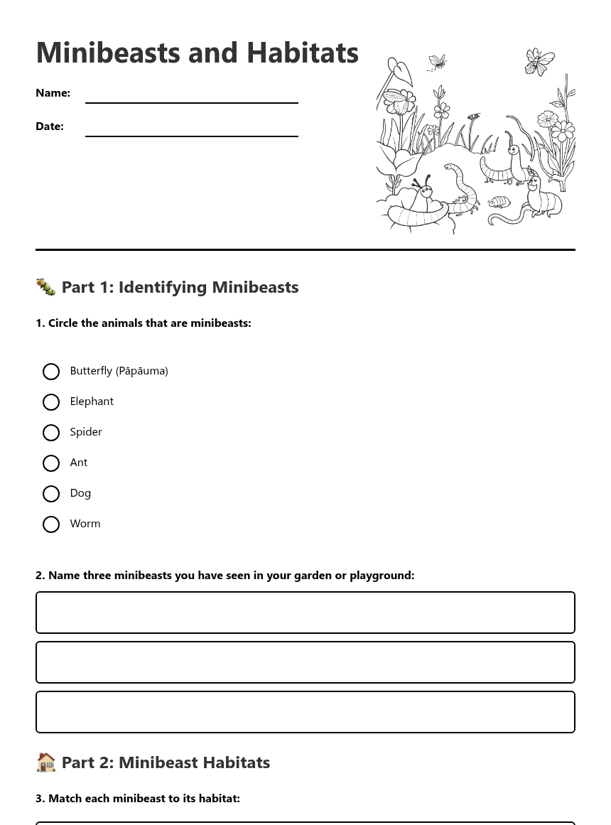 Minibeasts and Habitats worksheet preview