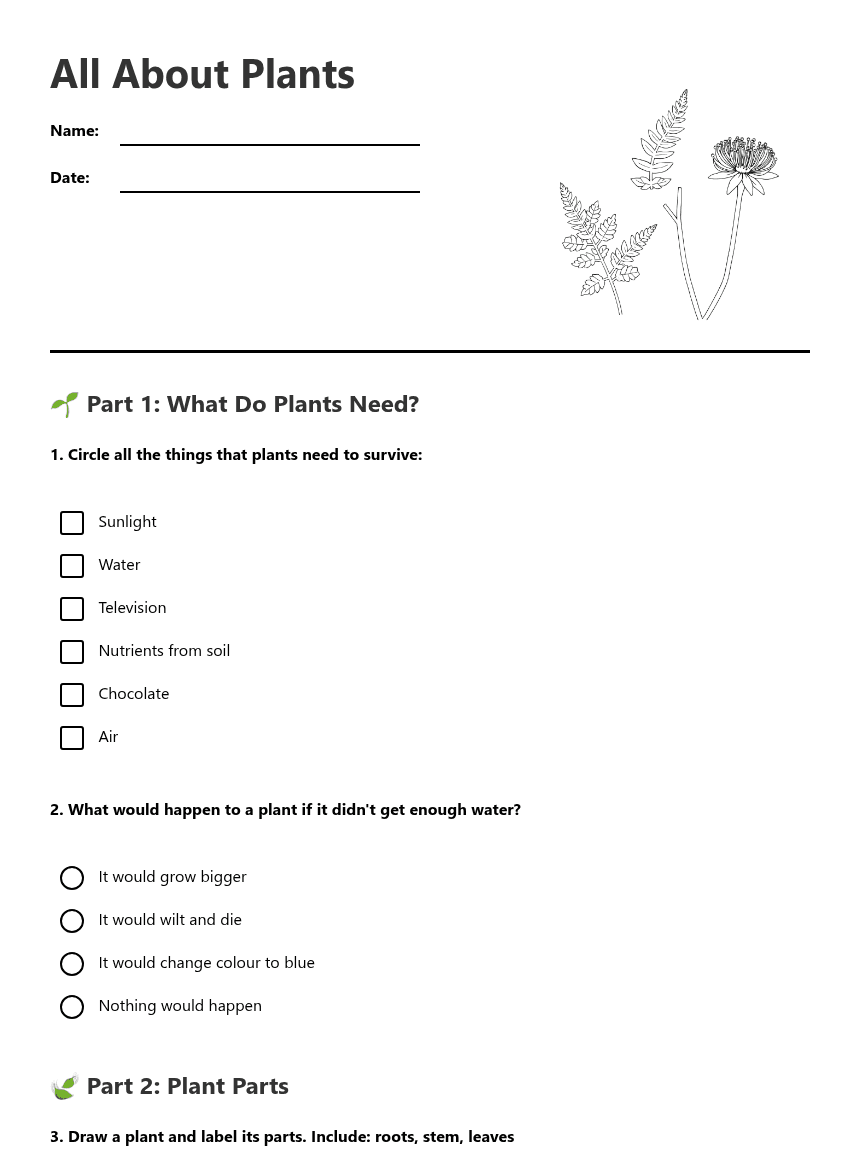 All About Plants worksheet preview