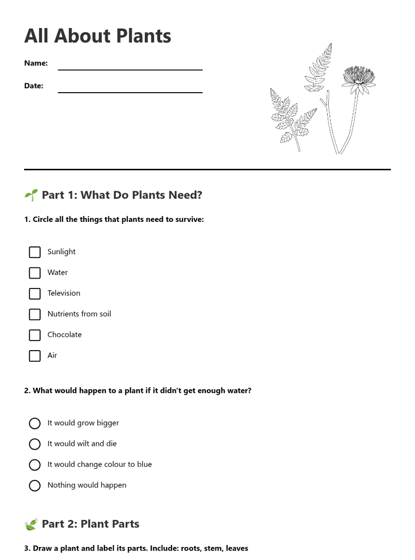 All About Plants