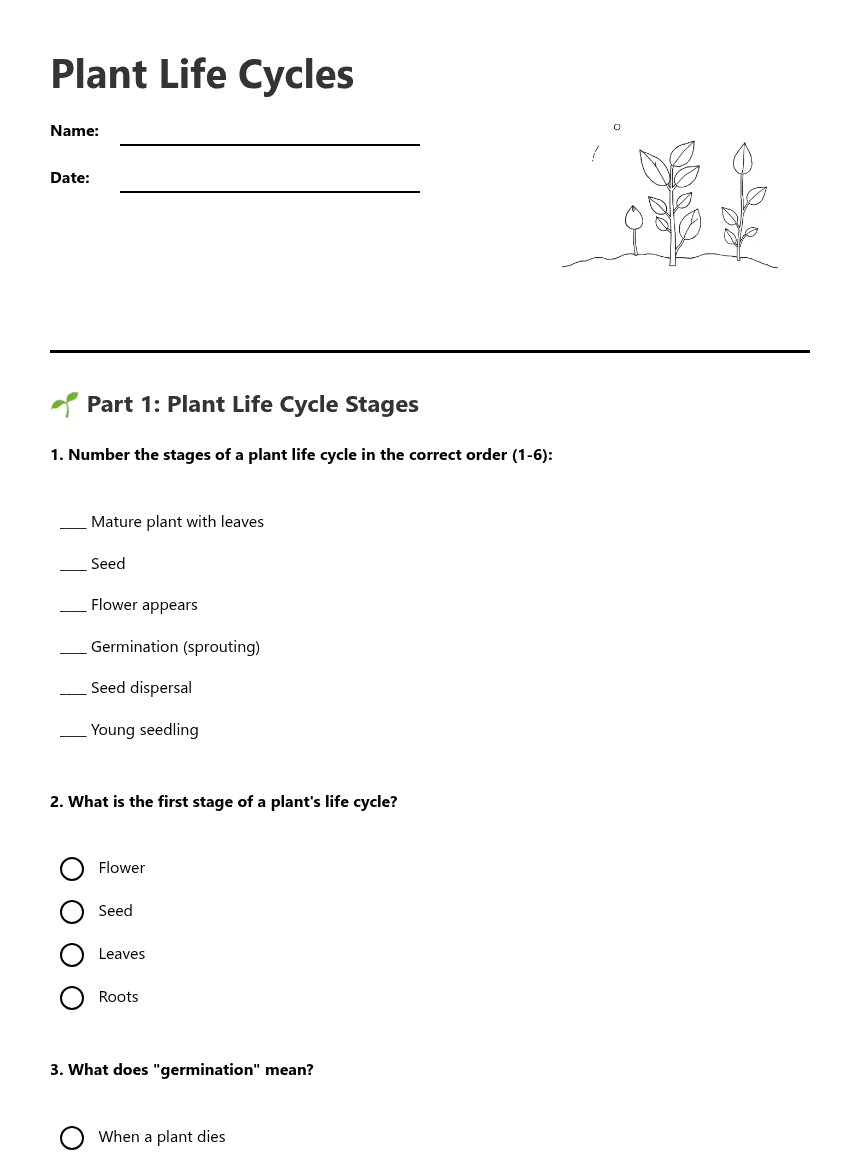 Plant Life Cycles worksheet preview