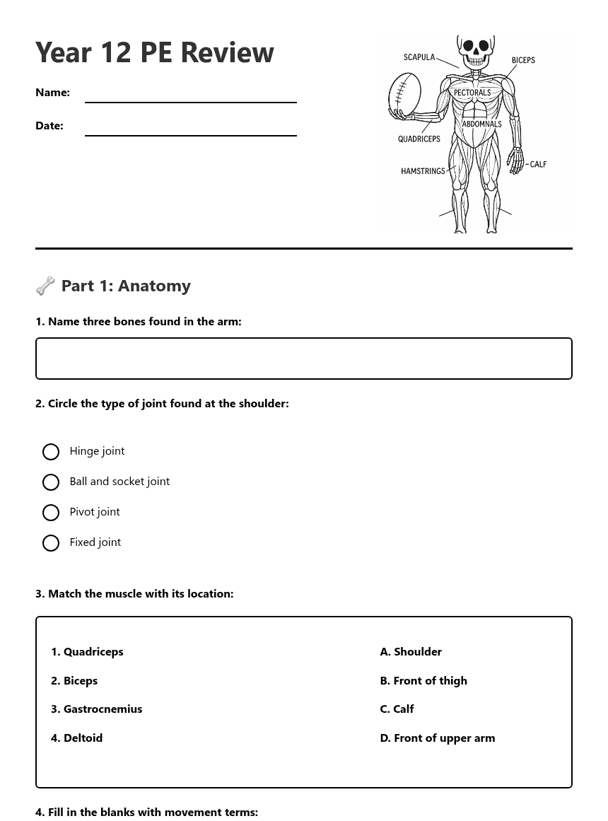 Year 12 PE Review worksheet preview