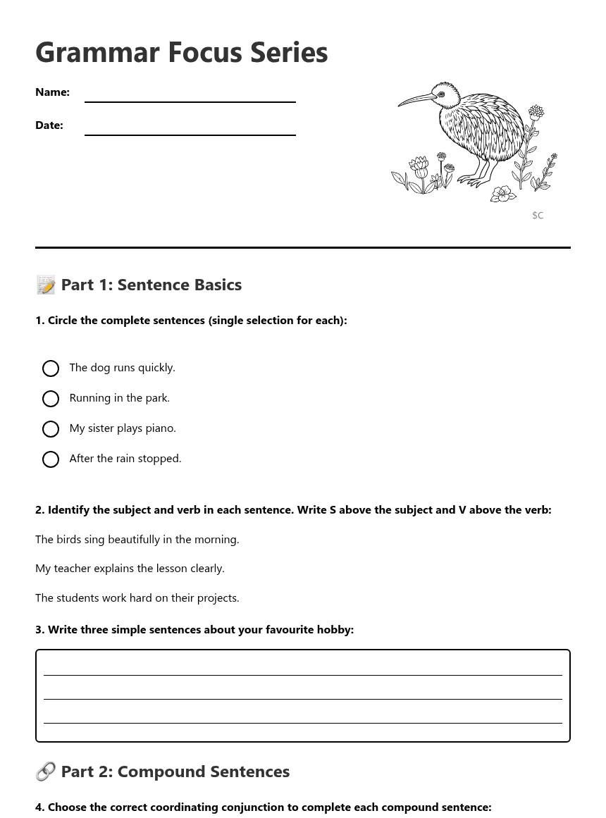 Grammar Focus Series worksheet preview