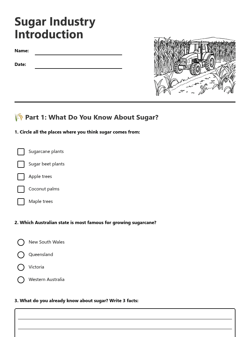 Sugar Industry Introduction worksheet preview