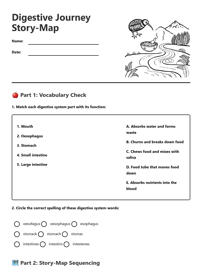 Digestive Journey Story-Map worksheet preview